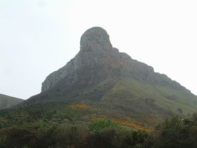 DSCF0081.JPG